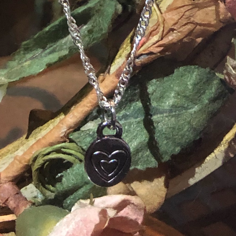 18” Silver Twisted Chain W/Double Heart ❤️ ChARm♾ - Picture 3 of 7
